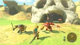 The Legend of Zelda: Breath of the Wild (WIIU)