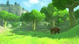 The Legend of Zelda: Breath of the Wild (WIIU)