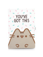 Notatnik Pusheen - You've Got This