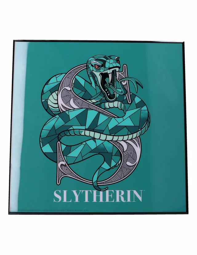 Obraz Harry Potter - Slytherin Crystal Clear Art Pictures (Nemesis Now)