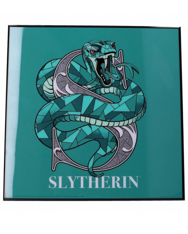 Obraz Harry Potter - Slytherin Crystal Clear Art Pictures (Nemesis Now)